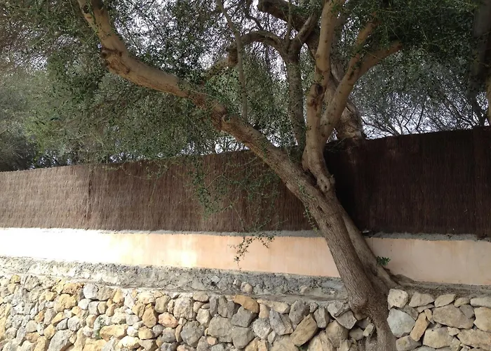 Agroturismo Finca Dalt Murada