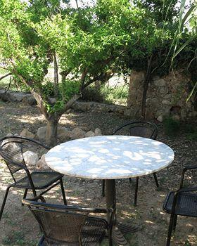 Dalt Murada Farm stay *